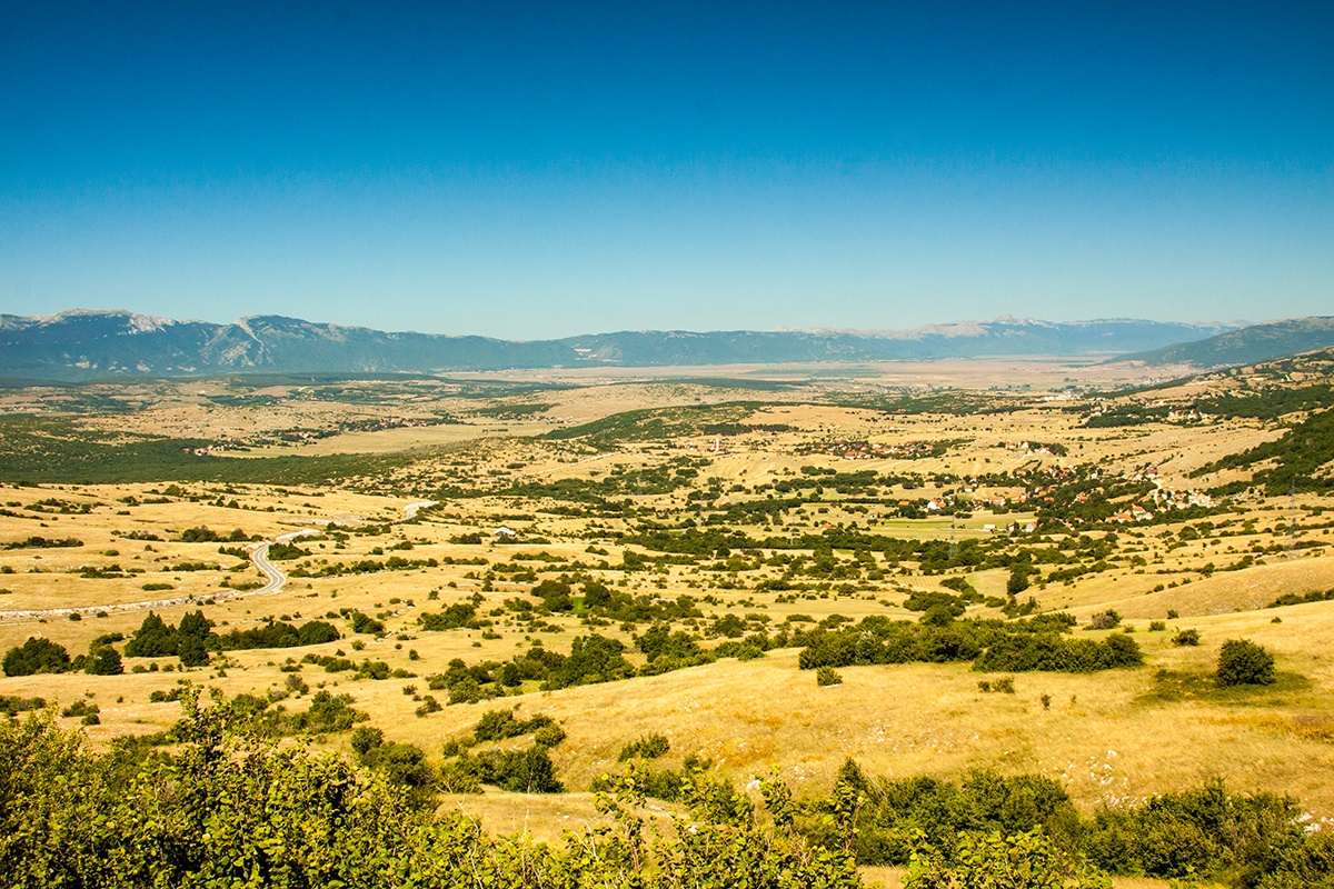 Livanjsko Polje