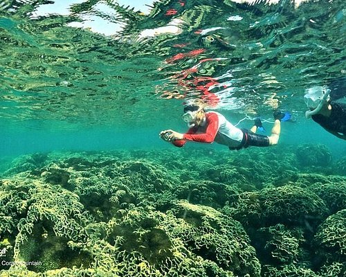 Diving & Snorkelling