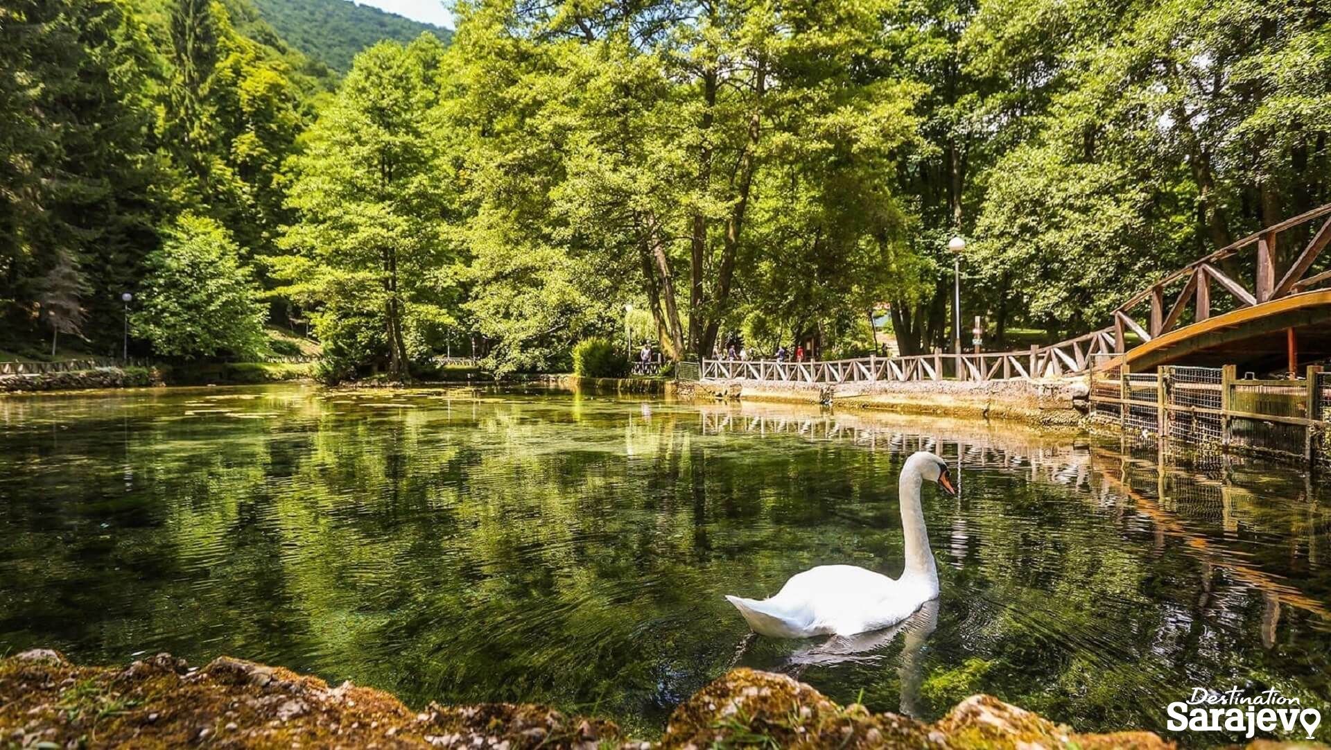 Vrelo Bosne