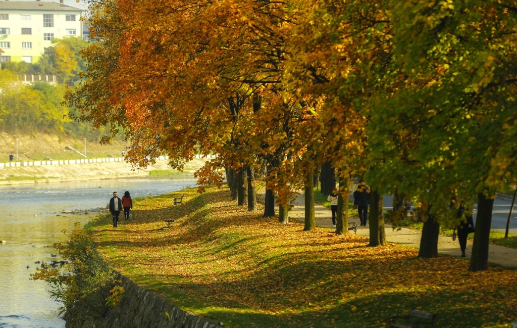 Kamberovića Polje